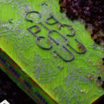 CORPUS-3D-printed-book