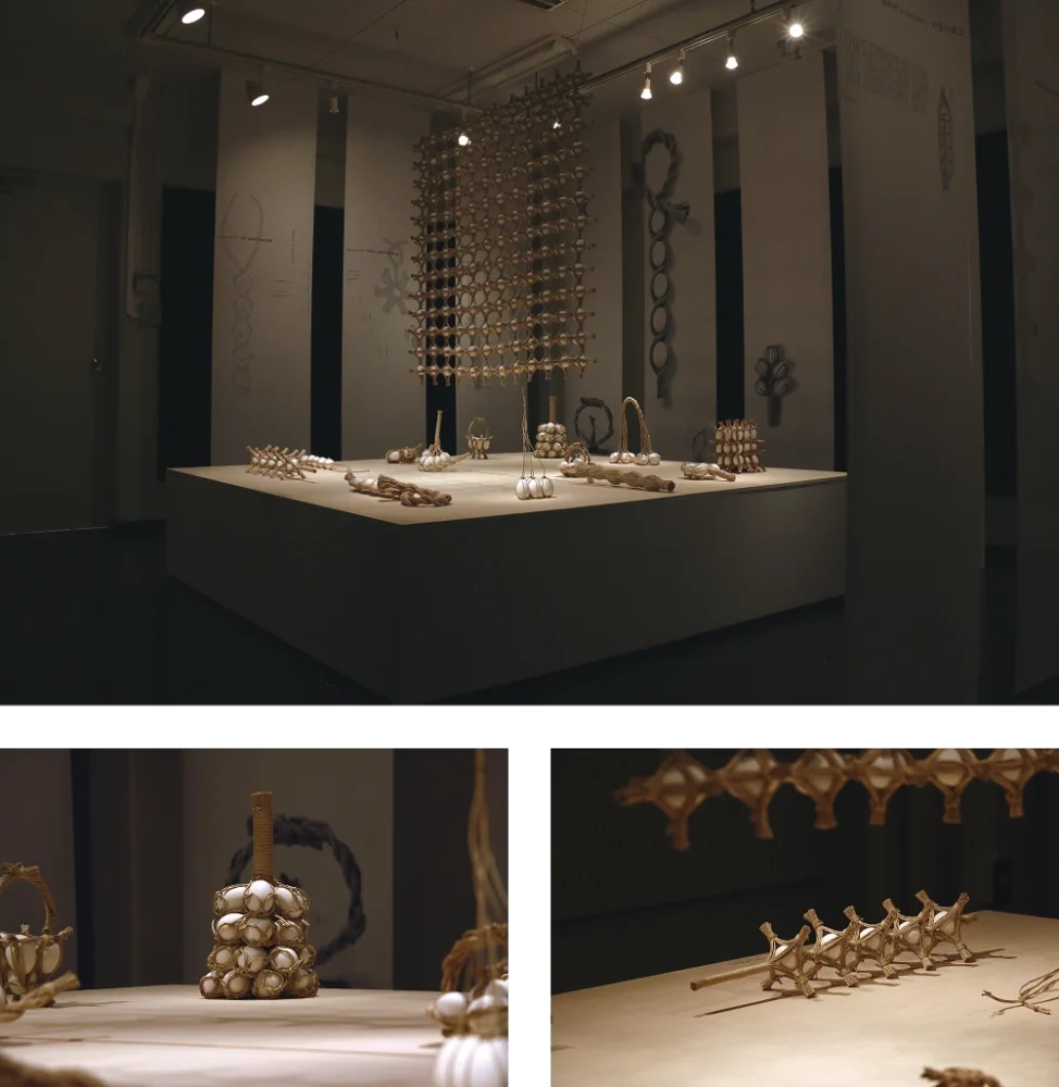 Structure as package 補完し合うかたち展